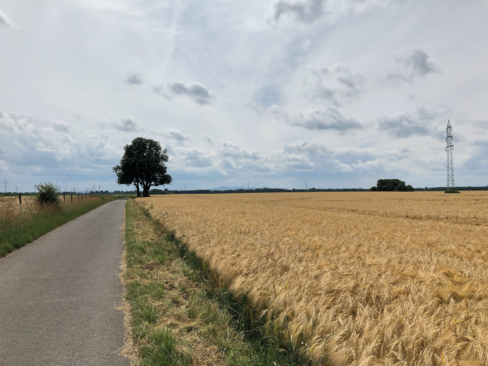Endlose Felder und Radwege in Köln